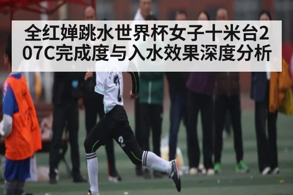 全红婵跳水世界杯女子十米台207C完成度与入水效果深度分析